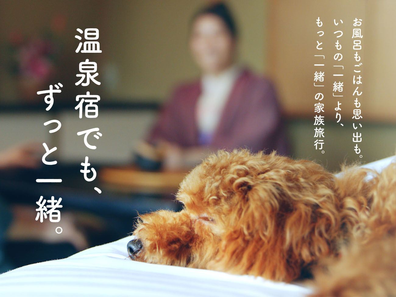 大江戸温泉物語わんわんリゾート 矢田屋松濤園