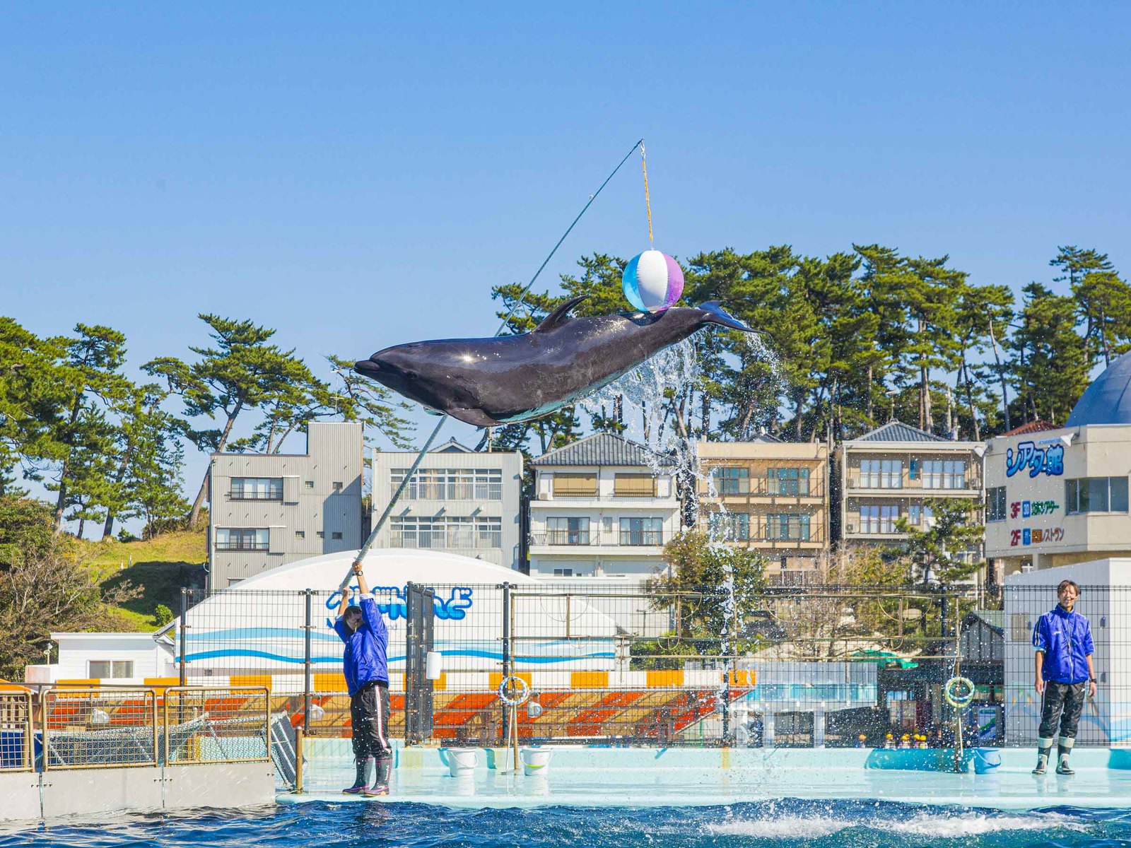 北陸　福井　あわら温泉美松 【越前松島水族館】見て・触れて・楽しく学べる体験型水族館！入館券＆家族旅行に嬉しい2大特典付きプラン