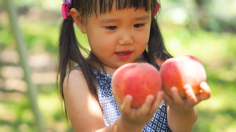 春日居びゅーほてる 【もも狩り】１泊２食付★夏本番！提携農園で楽しむジューシーな桃食べ放題プラン！宿から無料送迎可