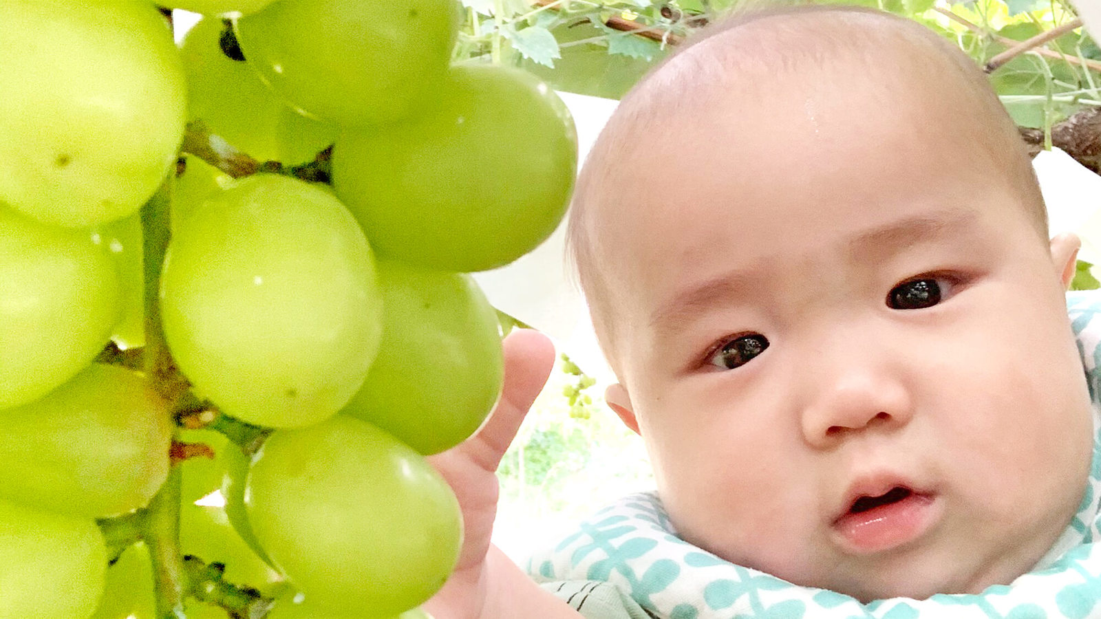 春日居びゅーほてる 【シャインマスカット狩り】１泊２食付★憧れのシャインマスカット狩り体験付プラン！宿から無料送迎可