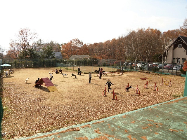八ヶ岳わんわんパラダイスコテージ 【素泊まり】過ごし方自由！愛犬と一緒に別荘気分【ペット可】