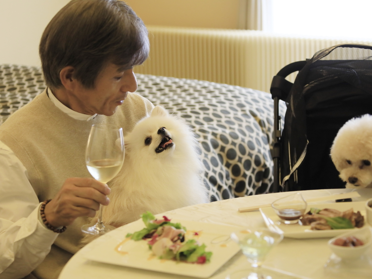 ゆとりろ蓼科ホテルwithDOGS お部屋に専用のテーブルをご用意させていただきます。
