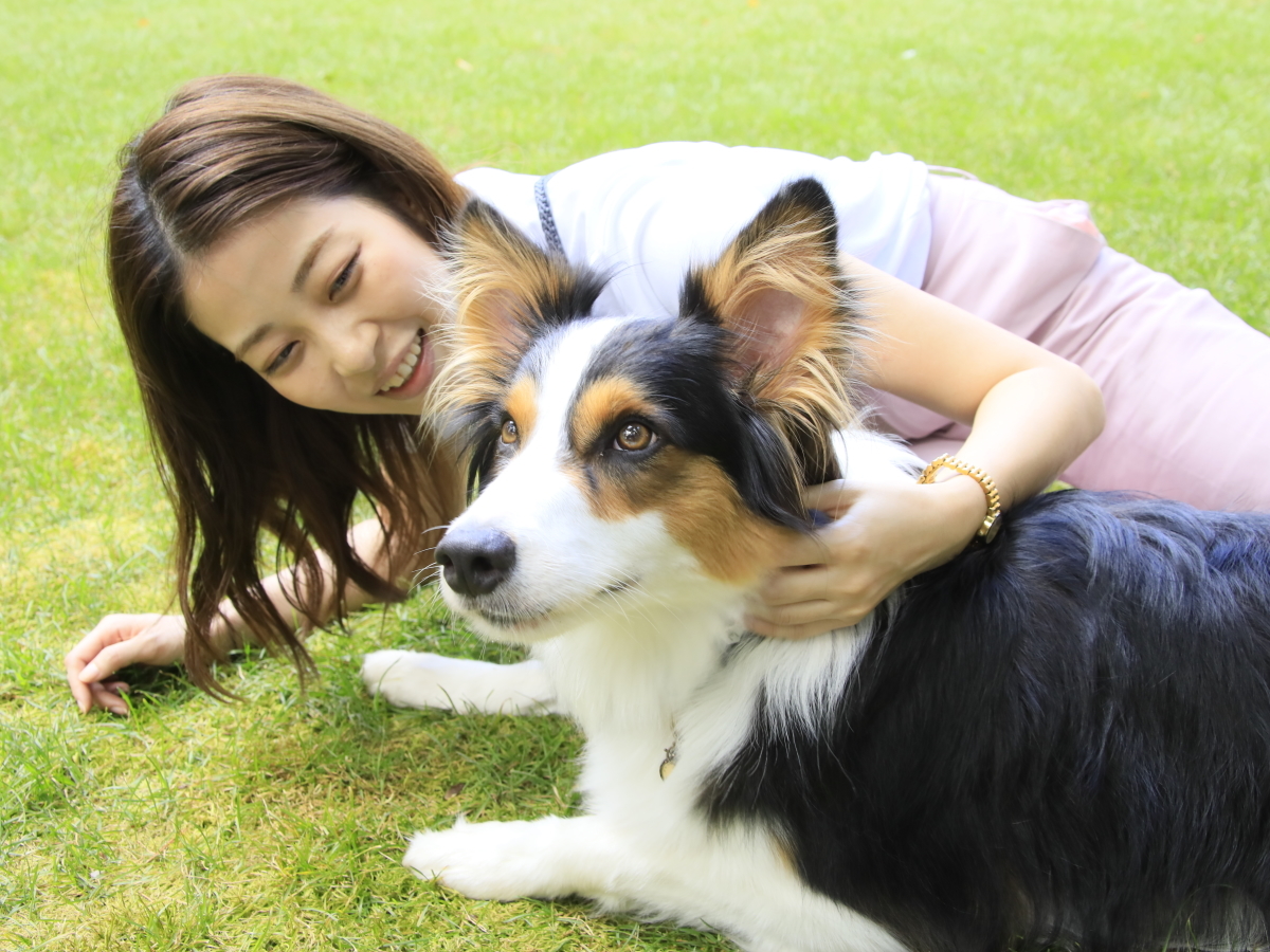 ゆとりろ蓼科ホテルwithDOGS 【早期割×お籠り旅】20日前のご予約でお得／特別価格＆わんちゃん無料＜蓼科フレンチ★星／お部屋食＞