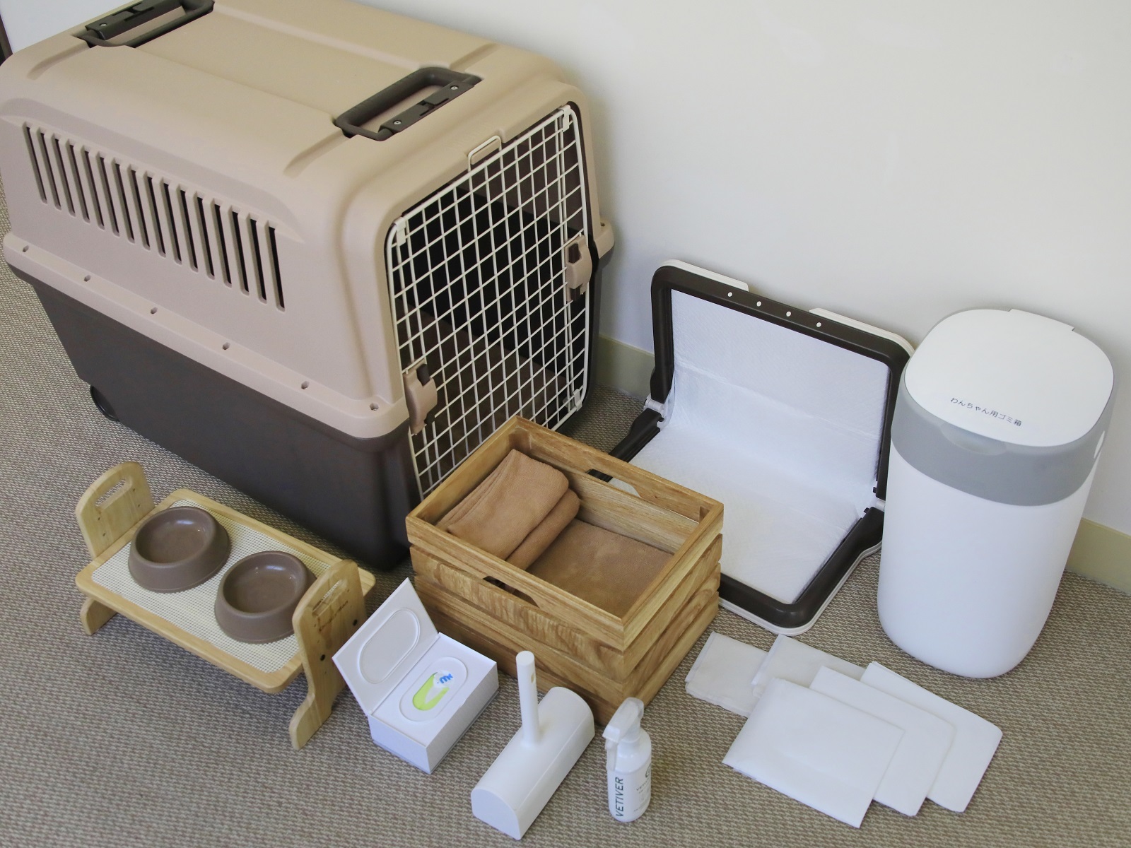 ゆとりろ蓼科ホテルwithDOGS 【秋冬限定×30％OFF】愛犬と一緒に蓼科の自然満喫！人気の客室でのびのびステイ＜★風＞