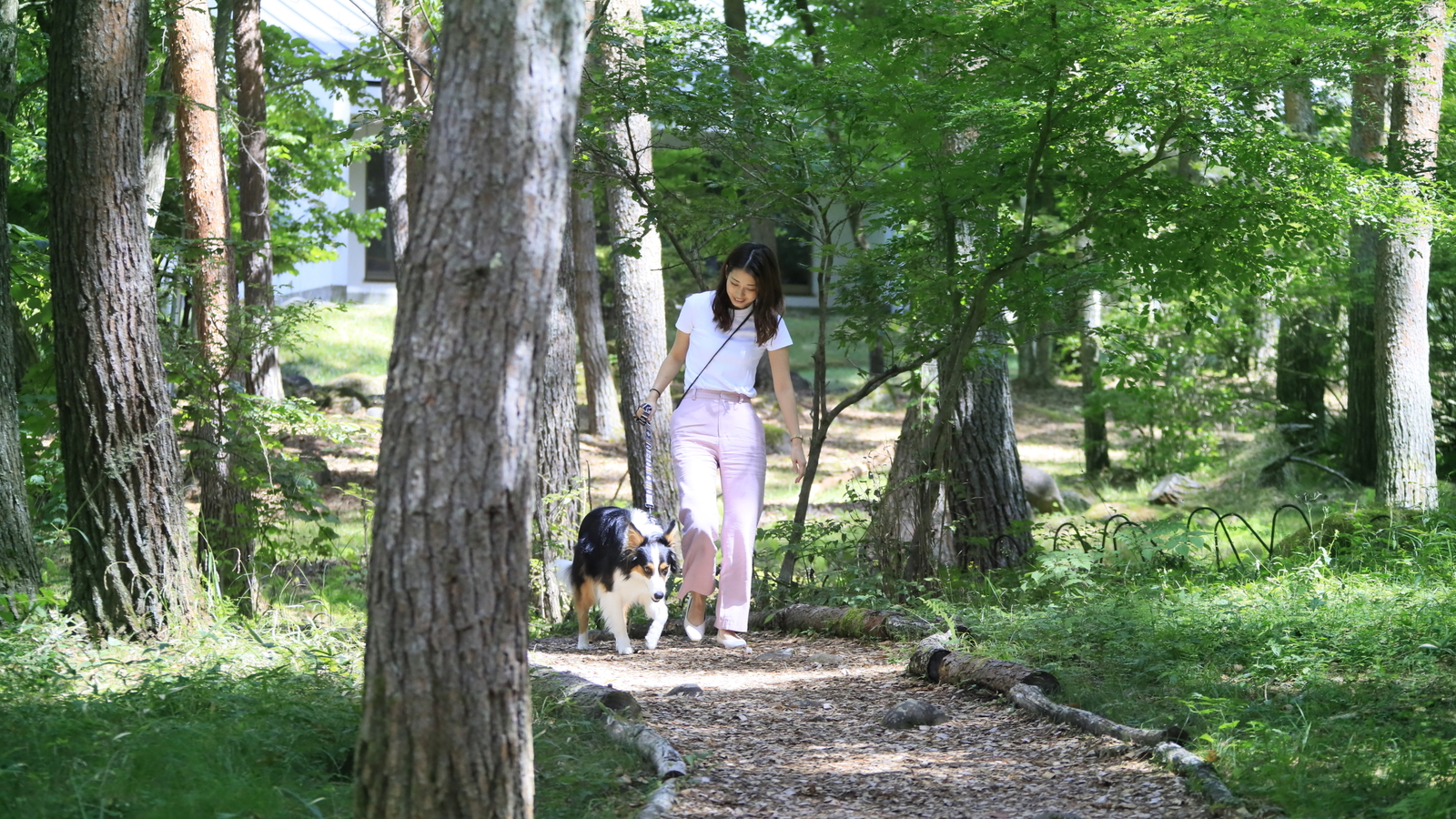 ゆとりろ蓼科ホテルwithDOGS 【お籠り旅SALE】最大30％OFF／夕食も朝食もお部屋で満喫＜蓼科フレンチ★星／お部屋食＞