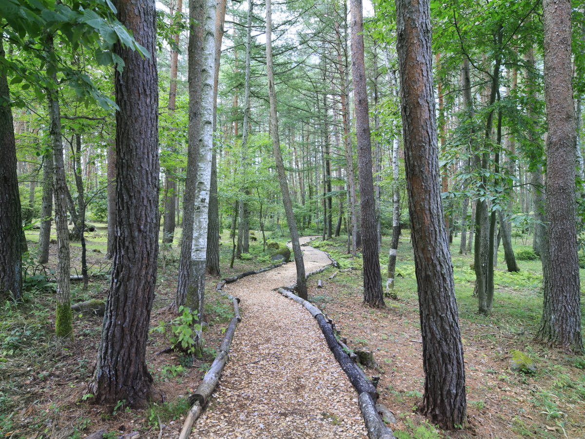 ゆとりろ蓼科ホテルwithDOGS 【季節限定】量控えめなお食事で愛犬との蓼科旅を気軽に愉しむ＜季節限定▽＞