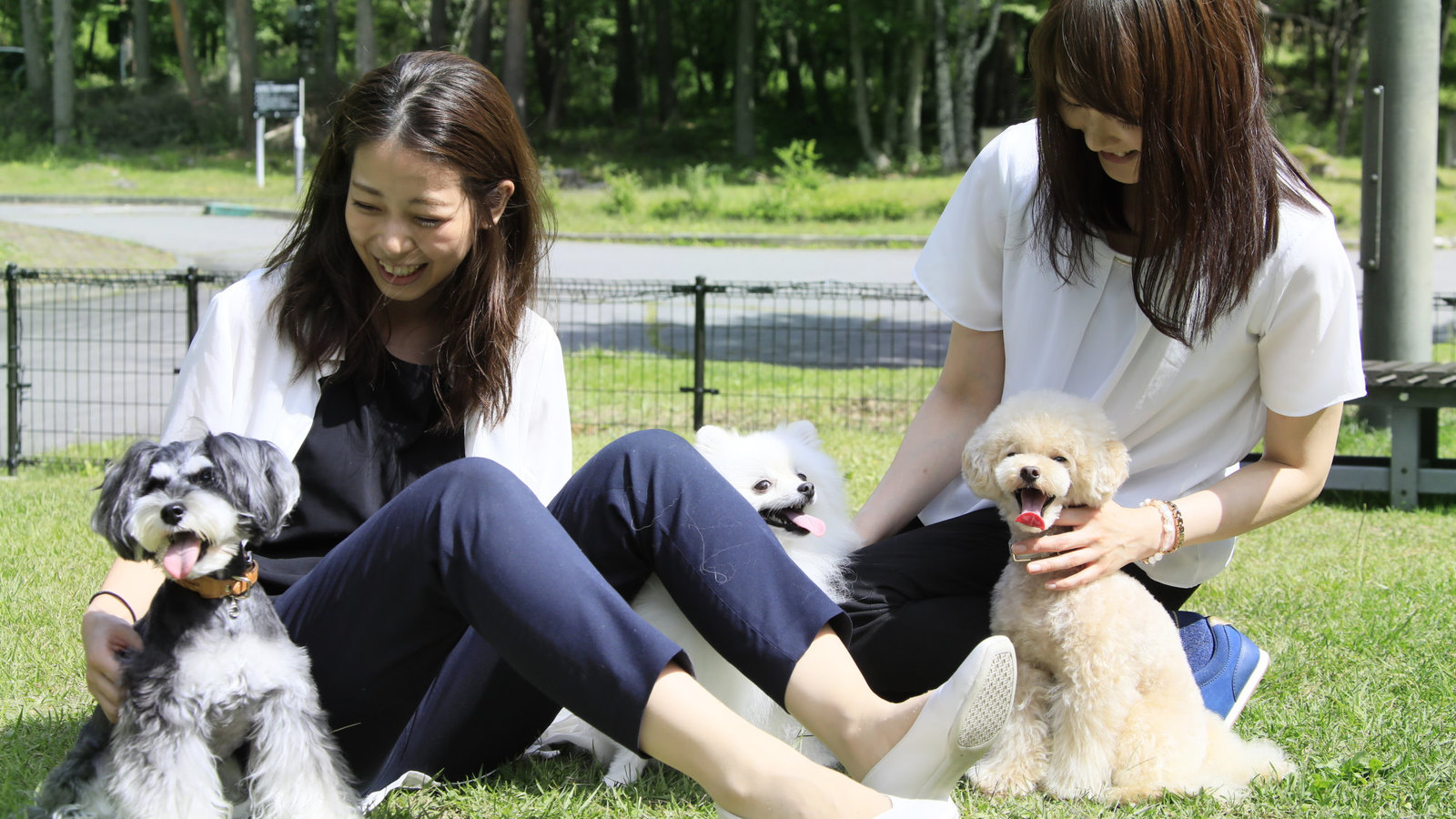 ゆとりろ蓼科ホテルwithDOGS 【お籠り旅×夕食のみ】夕食はお部屋で満喫！朝は愛犬とゆったりお過ごし＜蓼科フレンチ★星／お部屋食＞