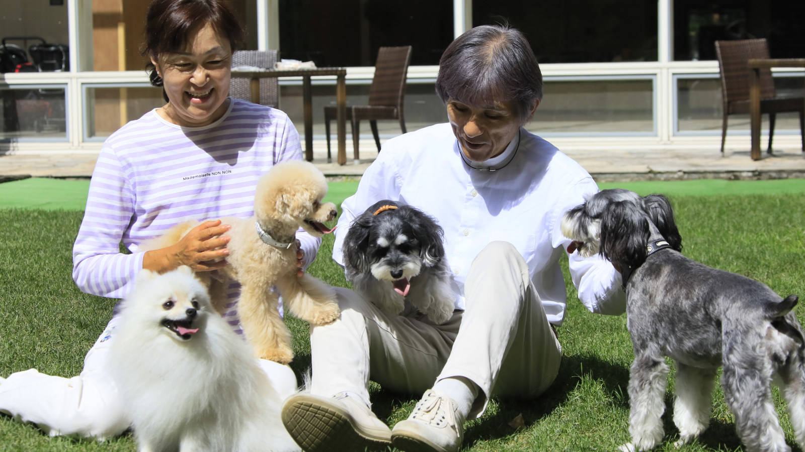 ゆとりろ蓼科ホテルwithDOGS 【お部屋食SALE】期間限定で最大30％OFF！愛犬とゆったり蓼科旅へ＜蓼科フレンチ■山／お部屋食＞