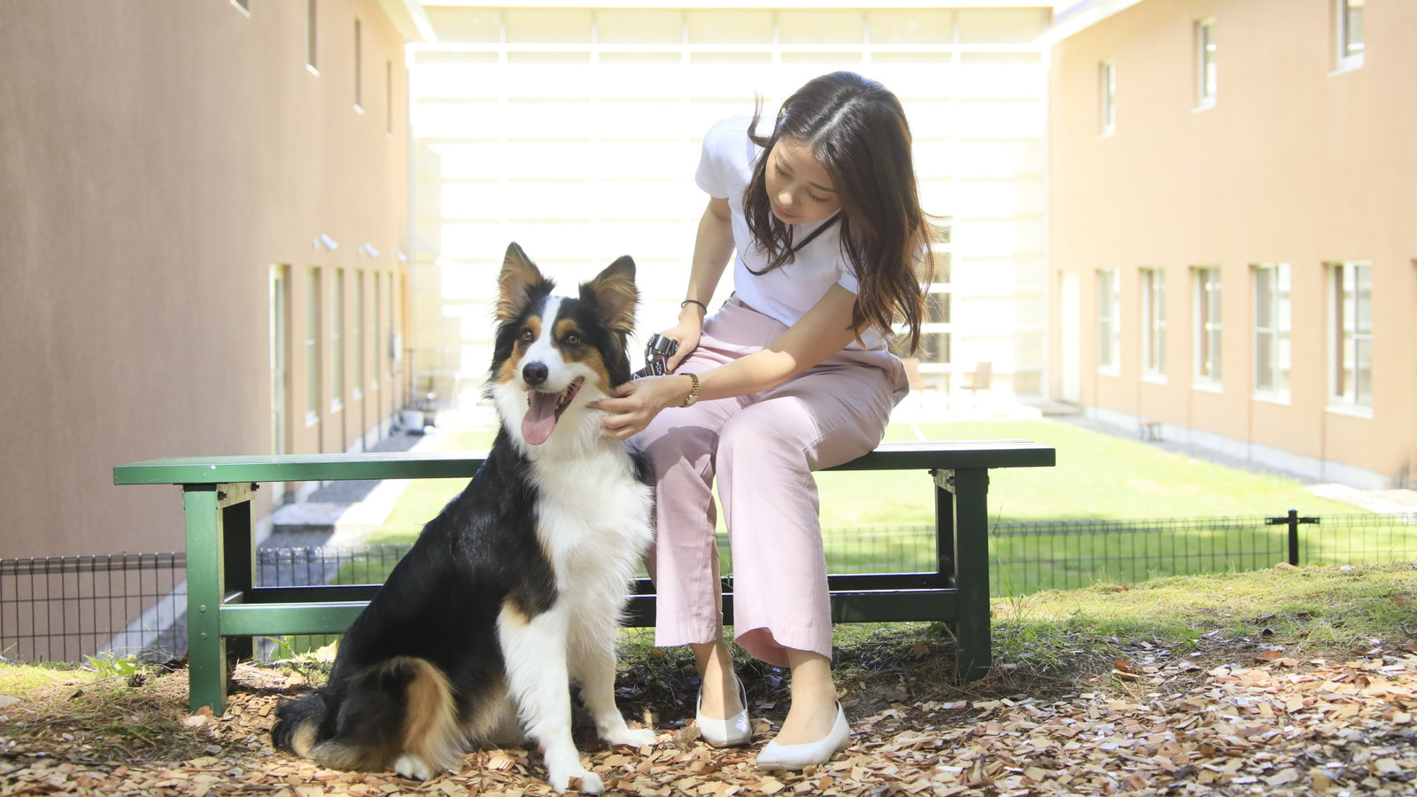 ゆとりろ蓼科ホテルwithDOGS 【5周年記念】食事は愛犬とお部屋でゆったりと！5大特典付特別プラン＜蓼科フレンチ□山／お部屋食＞