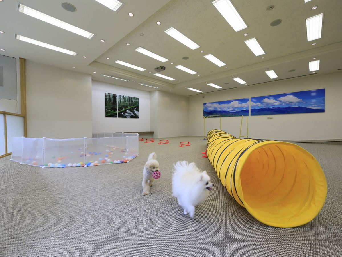 ゆとりろ蓼科ホテルwithDOGS 【初夏セール】最大30％OFF／夕食も朝食もお部屋で満喫＜蓼科フレンチ☆星／お部屋食＞