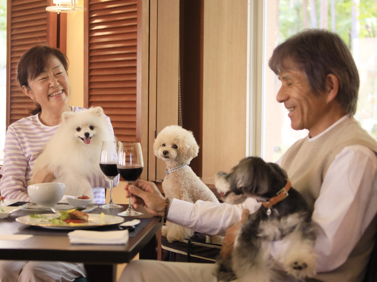 ゆとりろ蓼科ホテルwithDOGS 【早期割引×風】20日前までのご予約でスタンダードプランをお得にご案内＆わんちゃん無料＜★風＞