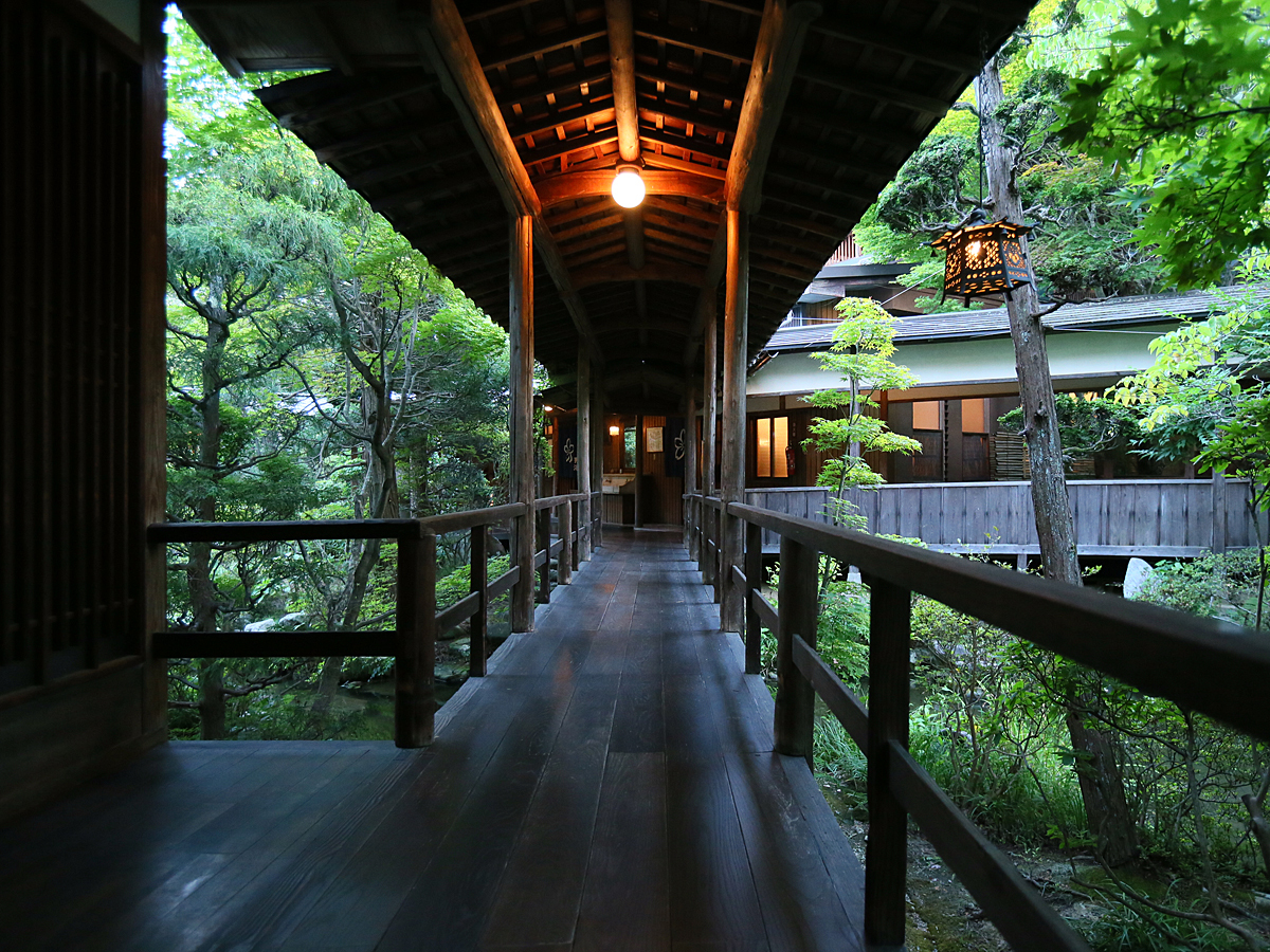 旅館花屋 【８月１８日～３１日限定】今年初物。早松茸プラン　＼１組につき、松茸天ぷら一皿 松茸２本付／