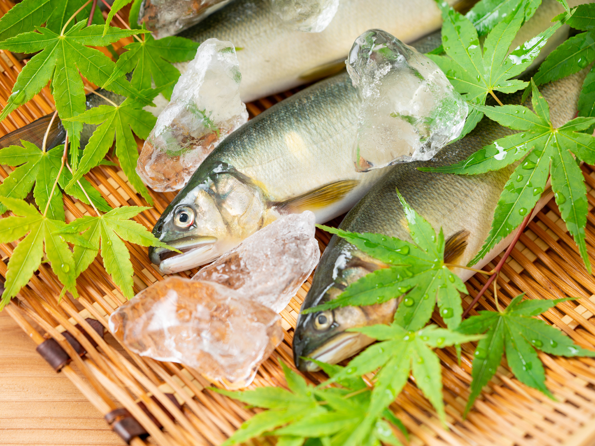 旅館花屋 【7/1～8/31 限定】料理長渾身、極上の会席料理　『信州プレミアム牛』と『鮎』の饗宴