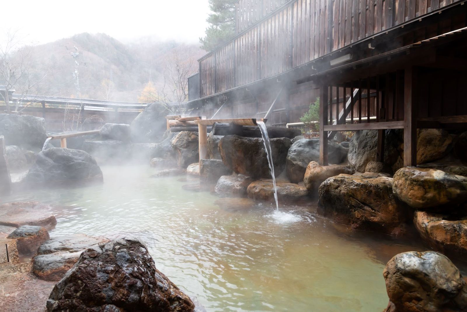 湯めぐりの宿　奥飛騨温泉郷平湯館 【1泊朝食】25時迄チェックインOK★朴葉味噌や漬物ステーキの郷土料理が並ぶ朝食バイキングが人気♪