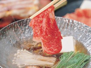 下呂温泉　山形屋 【カップル限定】飛騨牛付≪部屋食or個室食確約≫2人っきりを満喫☆１１時チェックアウトなど特典付☆