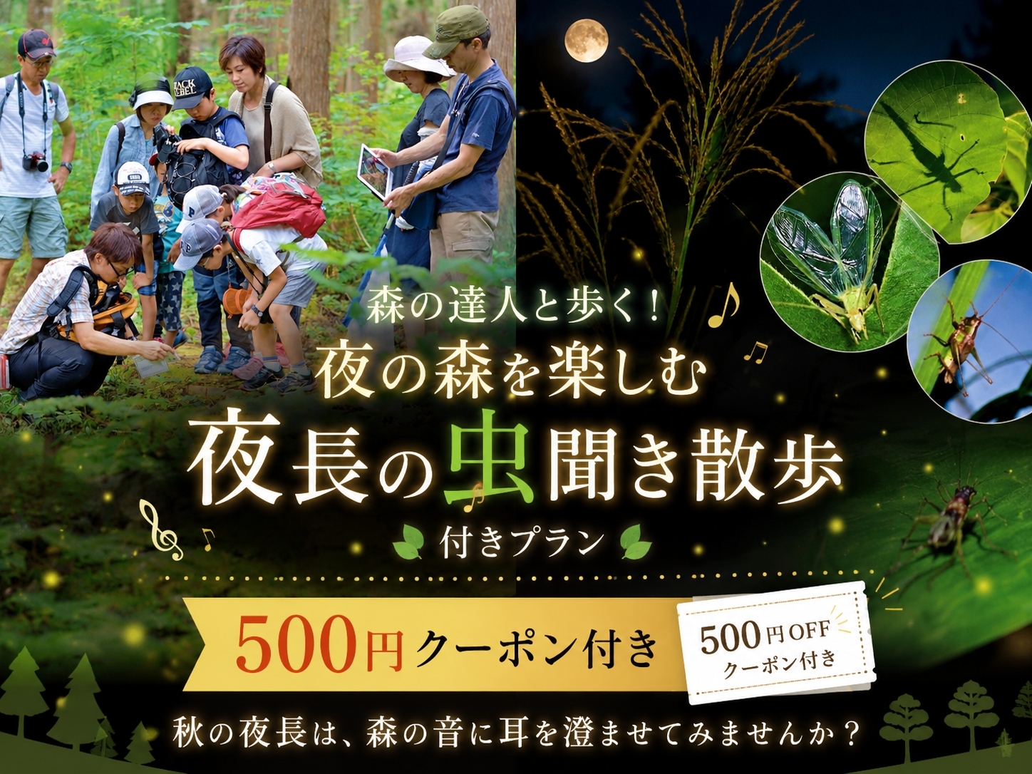 トヨタ白川郷自然學校 森の達人と歩く！夜の森を楽しむ「夜長の虫聞き散歩」付きプラン【500円クーポン付き】