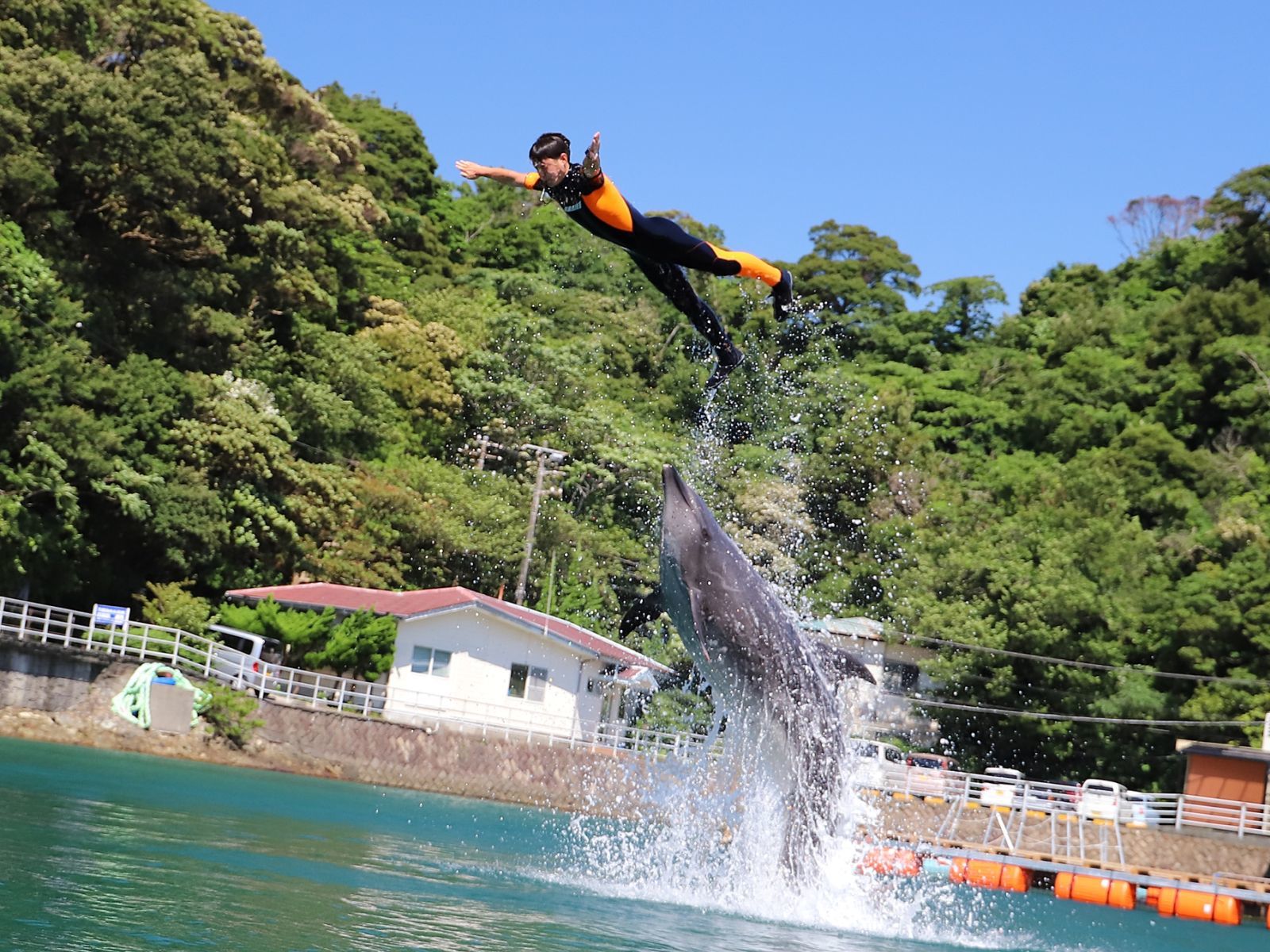 里山の別邸　下田セントラルホテル 【下田海中水族館入園券付】イルカと遊べる人気の施設！／庭園付露天風呂客室（お部屋食）