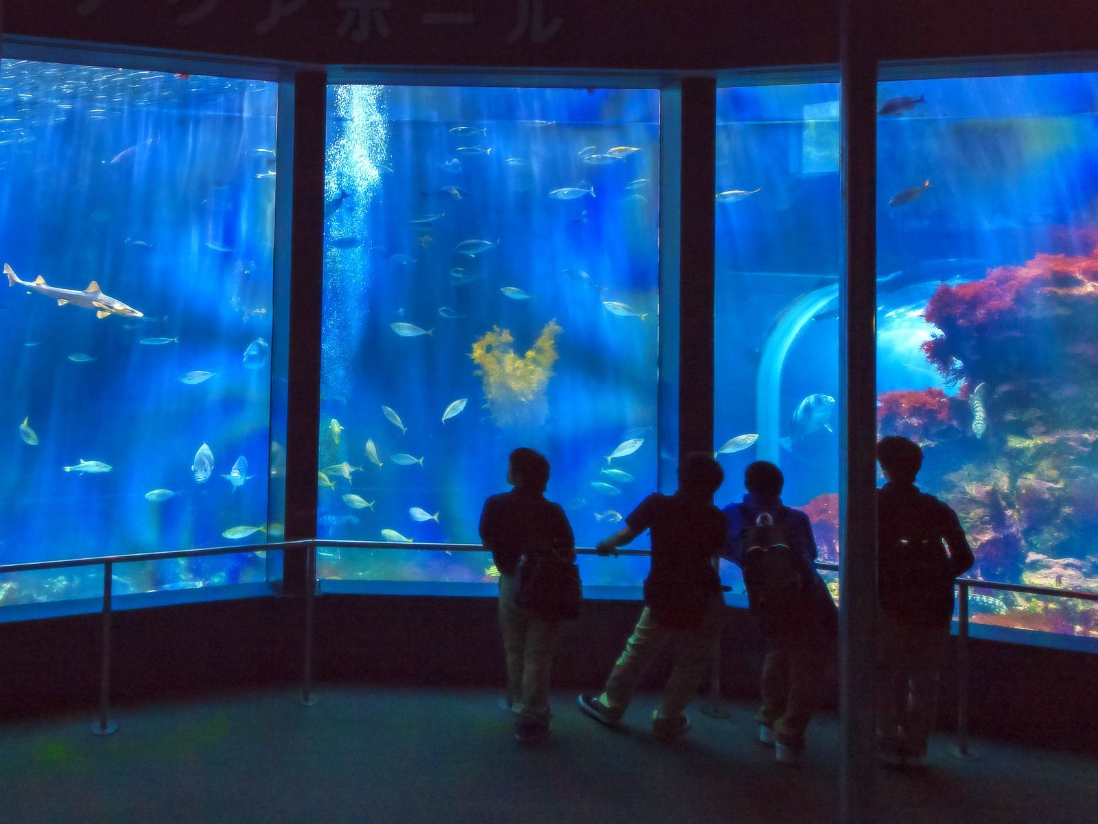 里山の別邸　下田セントラルホテル 【下田海中水族館入園券付】イルカと遊べる人気の施設！／庭園付露天風呂客室（お部屋食）