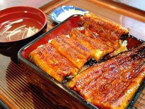 Tabist 湖西 浜名湖の宿 【2食付】浜名湖産うな重付き！部屋食で安心♪ （通年）
