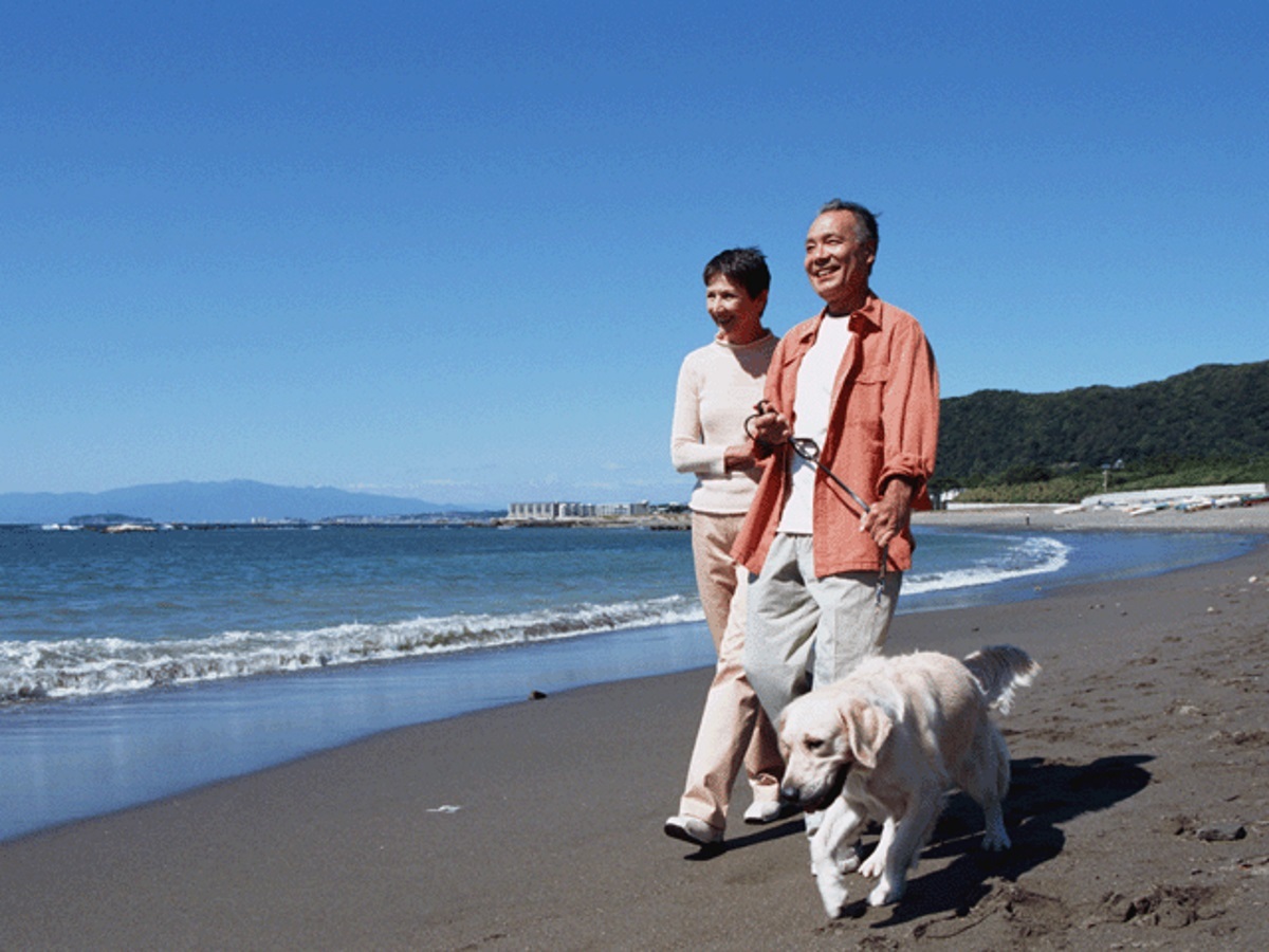 ゆるり西伊豆 【シニア旅応援！】50歳以上の方同伴でお料理グレードアップ＆ワンドリンクプレゼント♪＜■特選コース＞