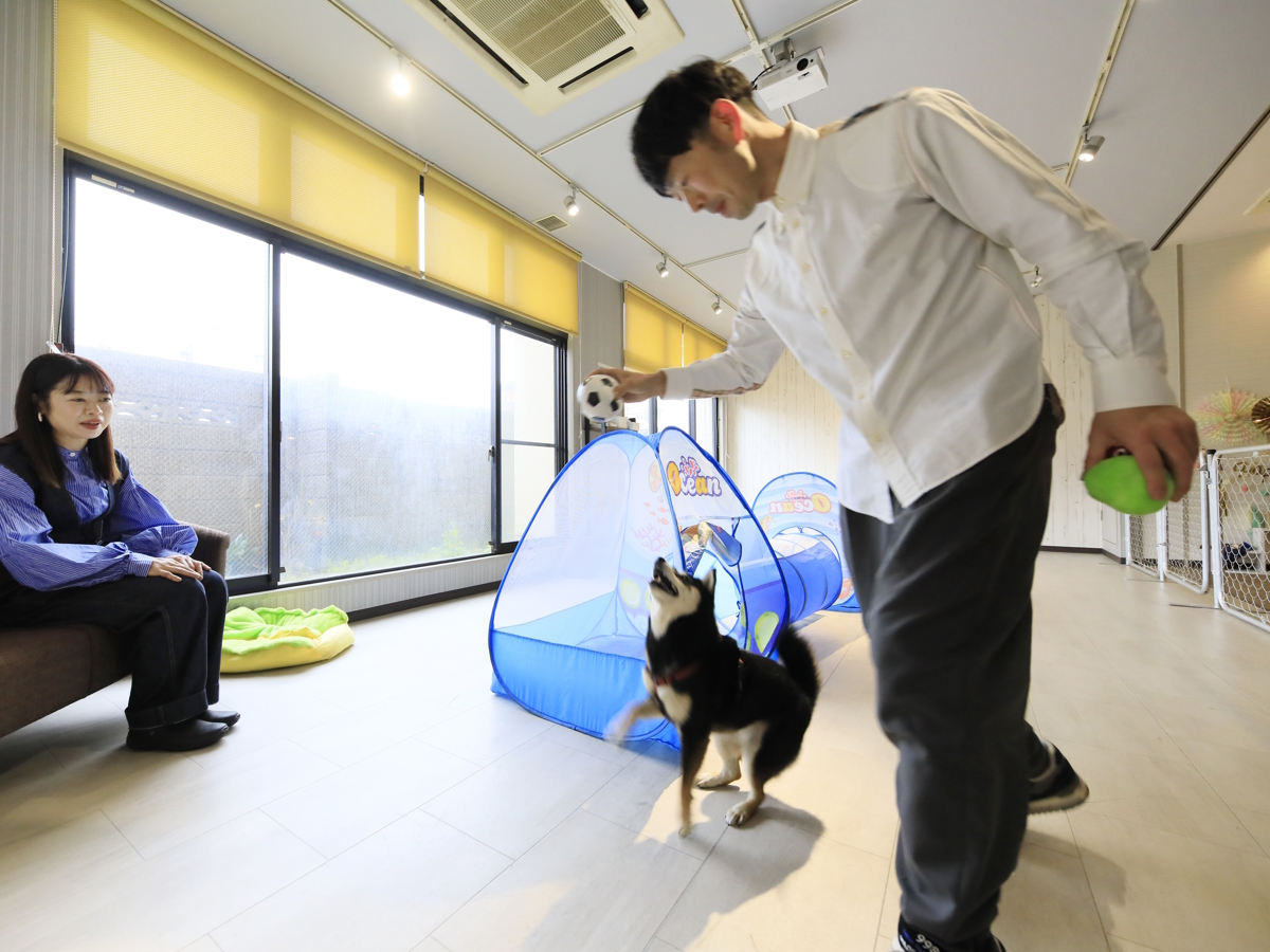 ゆるり西伊豆 【早期割30×特選】早めの予約でお食事アップグレード＆愛犬半額！＜■特選コース＞