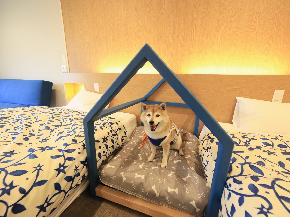 ゆるり西伊豆 【洋室ツイン】ベッドの間には当室限定オリジナル愛犬用ベ...