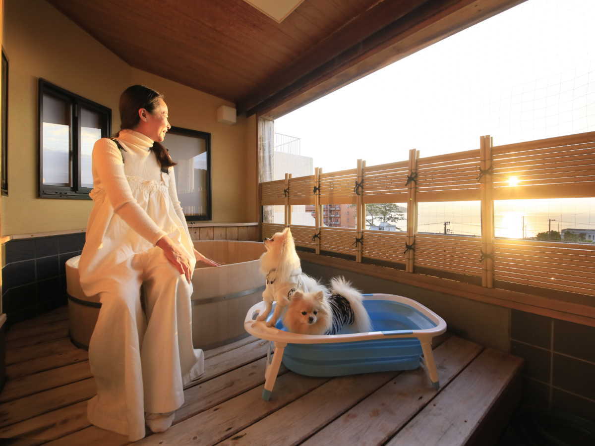 ゆるり西伊豆 【露天風呂付客室セール】最大20％OFF／駿河湾と夕陽を望む客室でわんことゆるり旅＜■特選コース＞