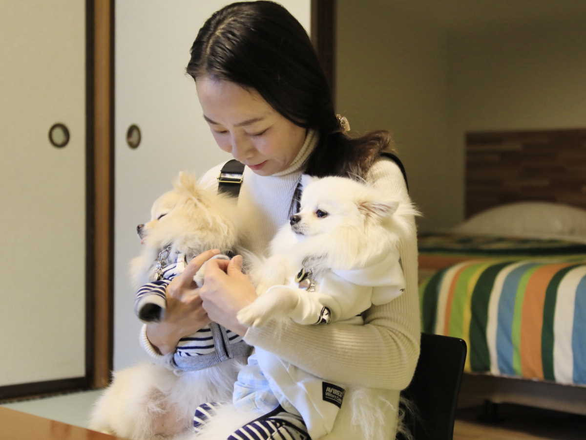 ゆるり西伊豆 【春旅セール】最大20％OFF／愛犬とゆるり愉しむ、西伊豆の春ごはん＜★基本コース＞