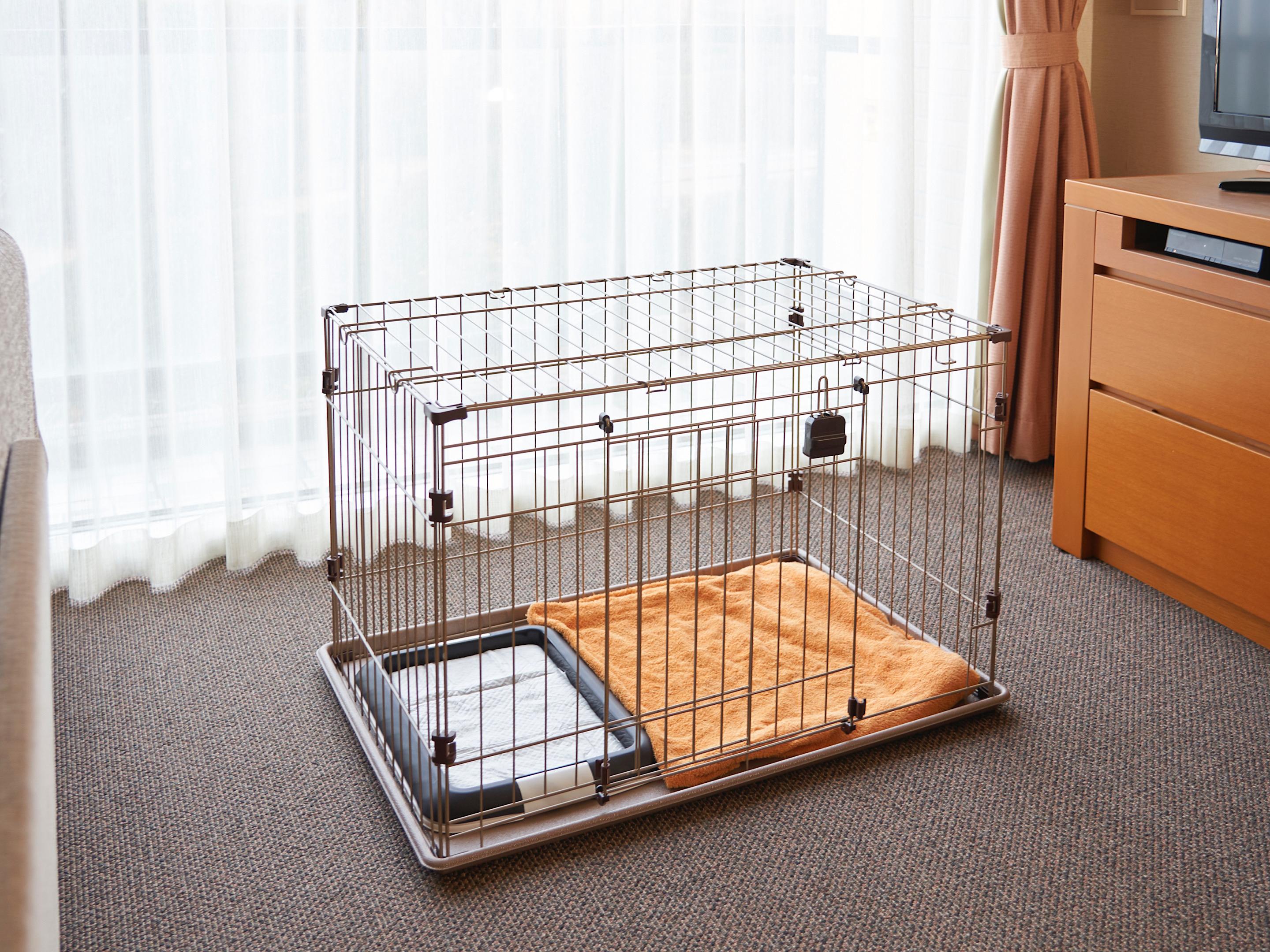 リブマックスリゾート伊豆高原テラス&スパ　 【スタンダードプラン】『海の恵み』伊豆名産の旬食材を味わい尽くす〜美食和会席料理〜＜朝食付き＞