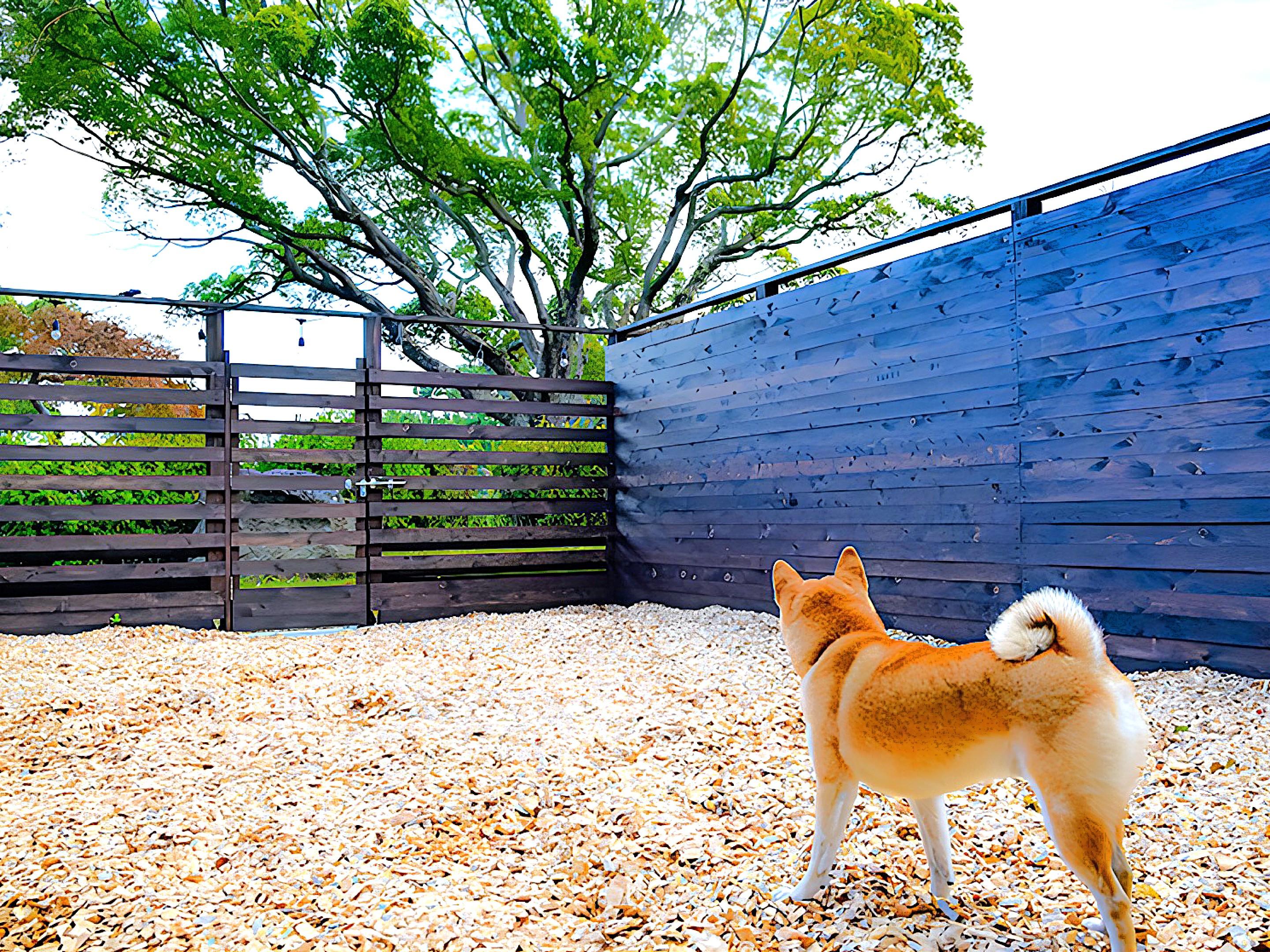 リブマックスリゾート伊豆高原ANNEX 【和美麗スイート・和美麗Jrスイート】　テラス7㎡+プライベートドッグラン15㎡