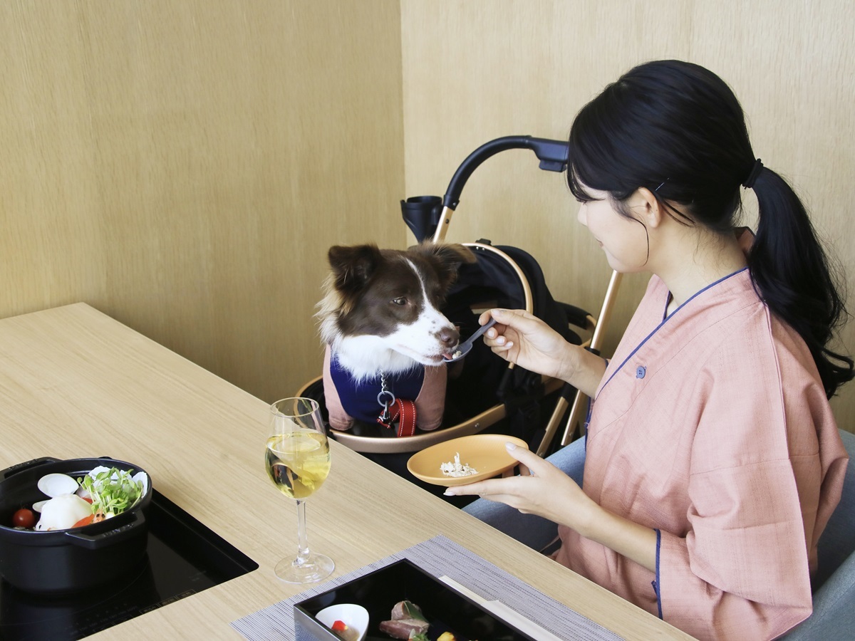 ゆるり熱海withDOGS 【直前割×基本】直前予約でお得に！愛犬と気軽に楽しむ熱海温泉旅＜★基本鍋会席＞