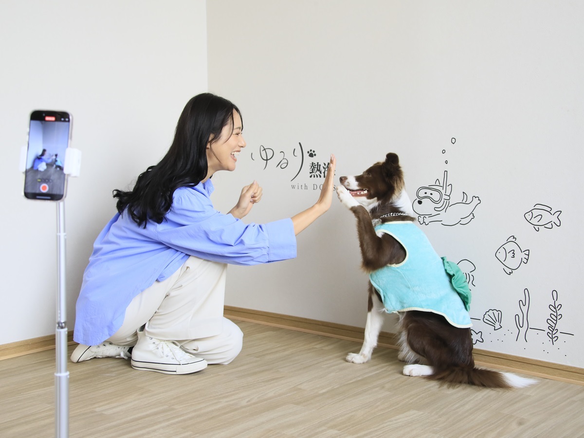 ゆるり熱海withDOGS 【素泊まり】観光を満喫したい方におすすめ！愛犬と気軽に過ごす熱海旅＜食事なし＞
