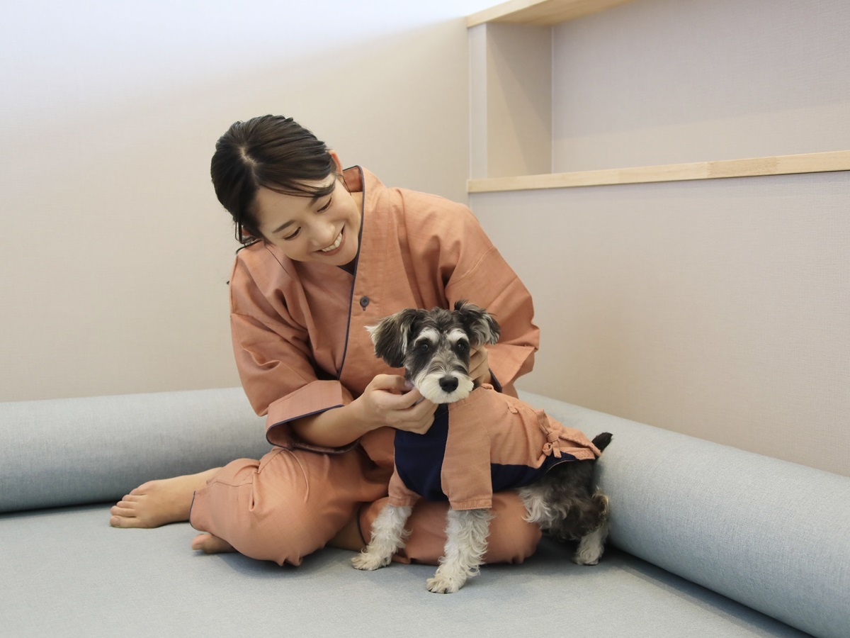 ゆるり熱海withDOGS 【直前割×基本×お部屋食】直前のご予約でお得！愛犬との熱海旅をお部屋で満喫＜★基本鍋会席／お部屋食＞