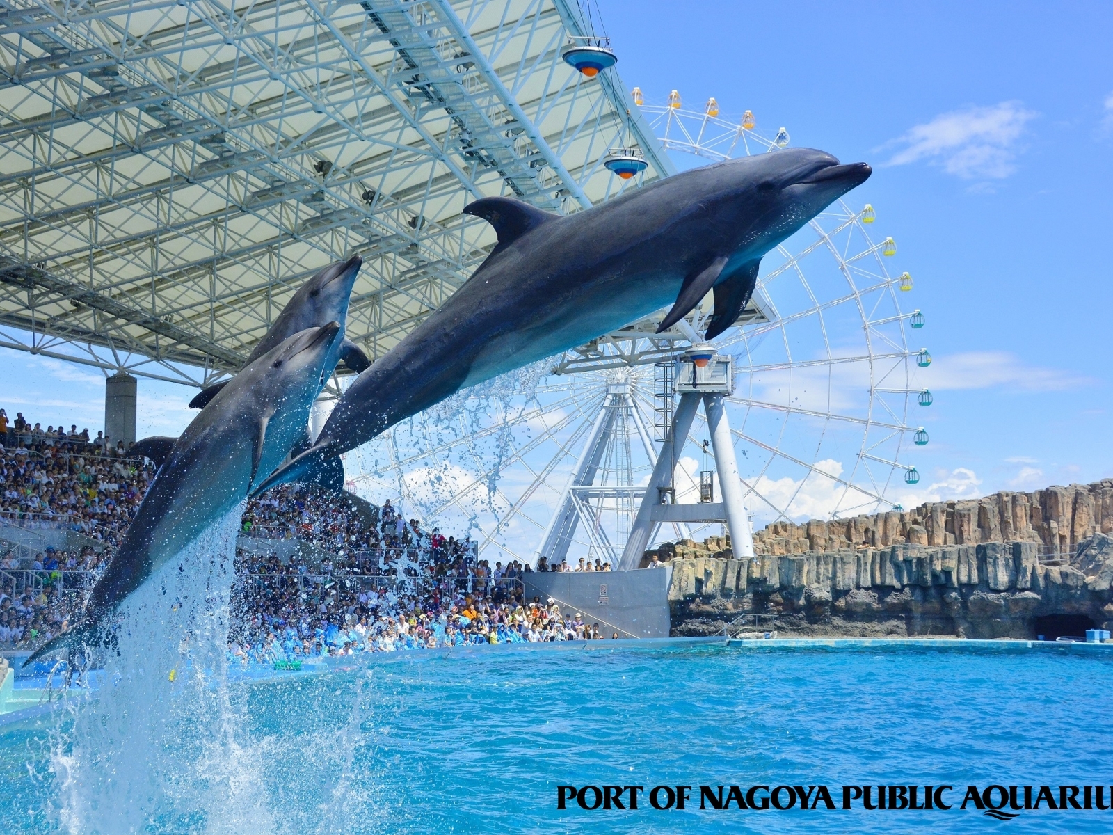 ベッセルホテルカンパーナ名古屋 【ファミリー・朝食付】名古屋港水族館大人チケット付き☆