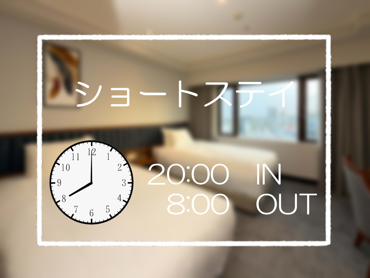 ホテルクラウンパレス知立 【リニューアル客室】チェックイン20:00/アウト8:00　ショートステイ　(食事なし)