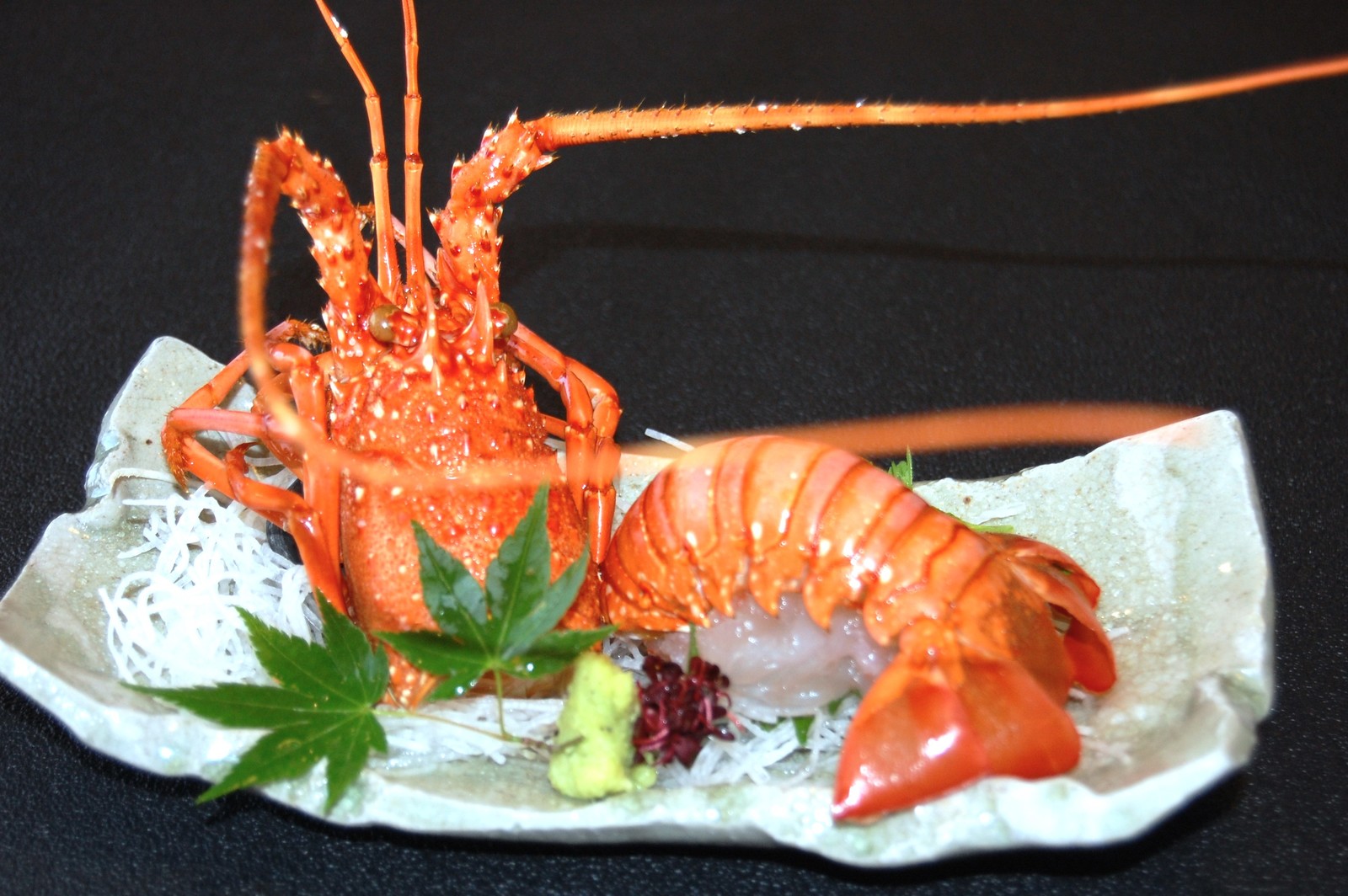 伊勢神宮のお膝元　鳥羽　胡蝶蘭 《厳選☆伊勢海老・鮑・黒毛和牛》伊勢海老・鮑選べる料理法★お部屋で至福の時を