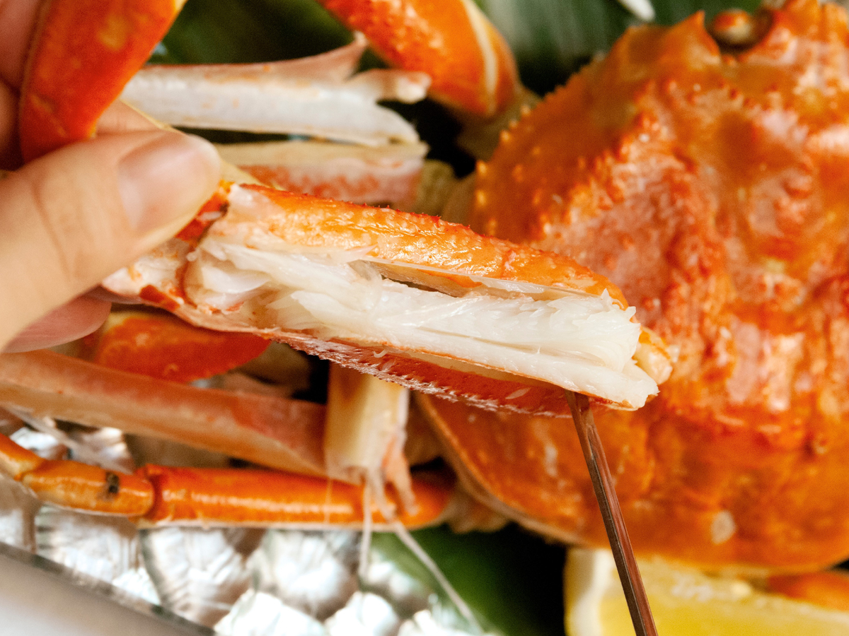 メルキュール京都宮津リゾート＆スパ 【かに×冬旅】1室につき蟹姿1杯付　オールインクルーシブプラン《夕朝食・ラウンジアクセス付》