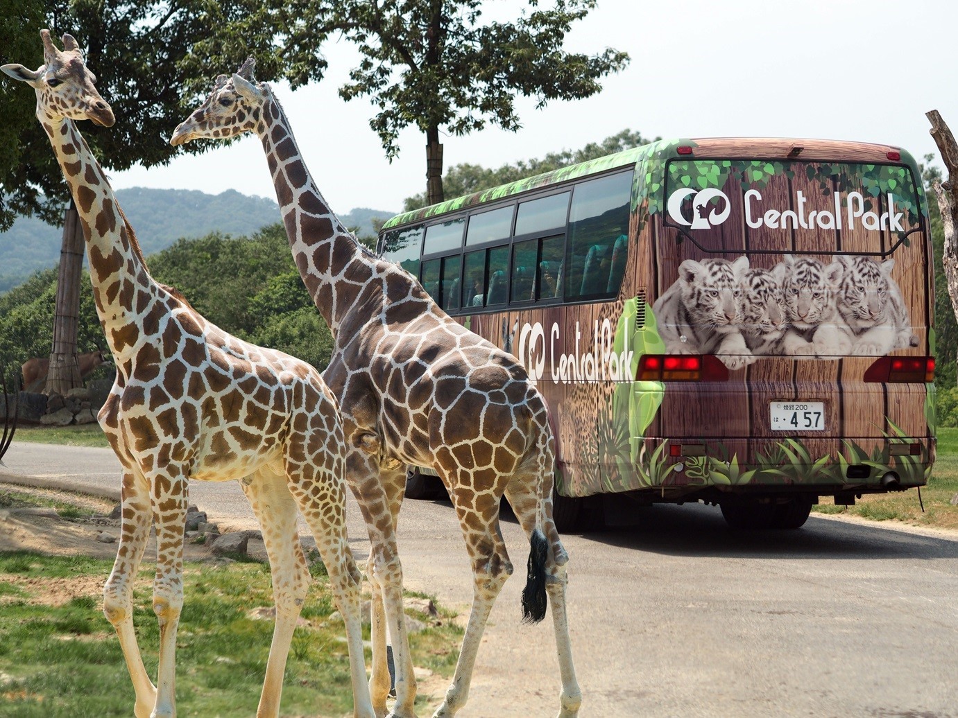 ホテル日航姫路 今回も『姫セン』で決まり！家族みんなが笑顔に！サファリパークと、遊園地♪朝食付