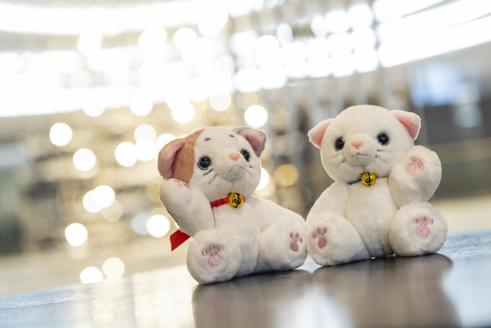 ホテル日航姫路 【数量限定】手のひらサイズの可愛い「ひめねこ」ペアぬいぐるみ特典付＜朝食付＞