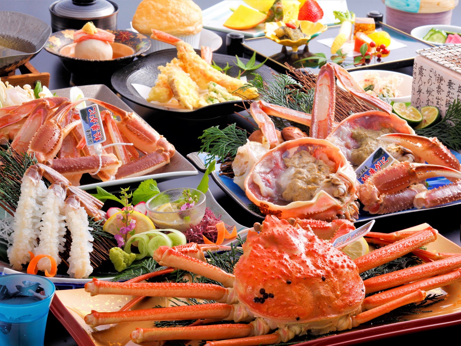 朝野家 【11/8~松葉蟹極み】地獲れタグ付松葉蟹　松葉蟹づくし会席プラン(かに2.3杯相当 うち松葉蟹2.2杯相当使用)