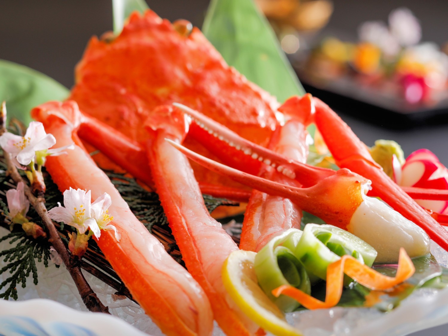 朝野家 【期間限定】刺し、焼き、鍋　ご当地ブランド香住蟹づくし(紅ずわいがに)【お1人様に香住蟹2.0杯相当使用】