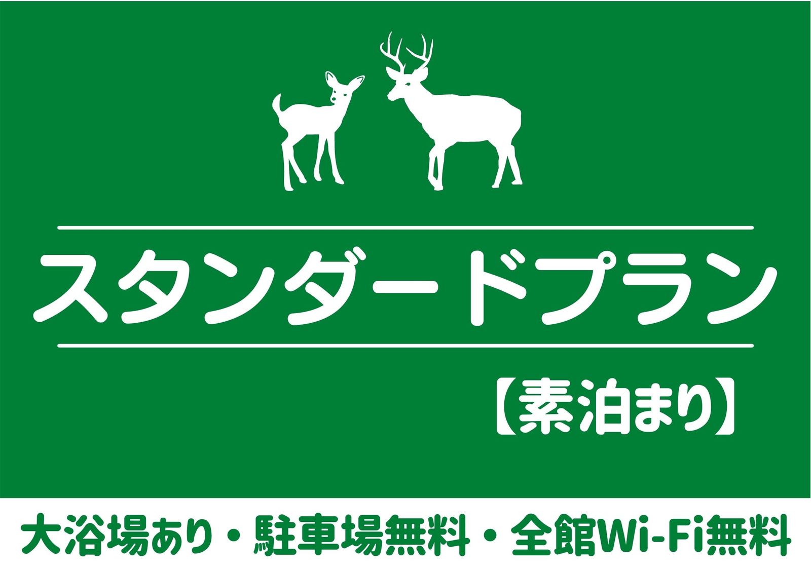 ホテルアジール・奈良アネックス スタンダードプラン　素泊まり【大浴場＆駐車場無料&幼児添い寝無料の充実サービス♪】