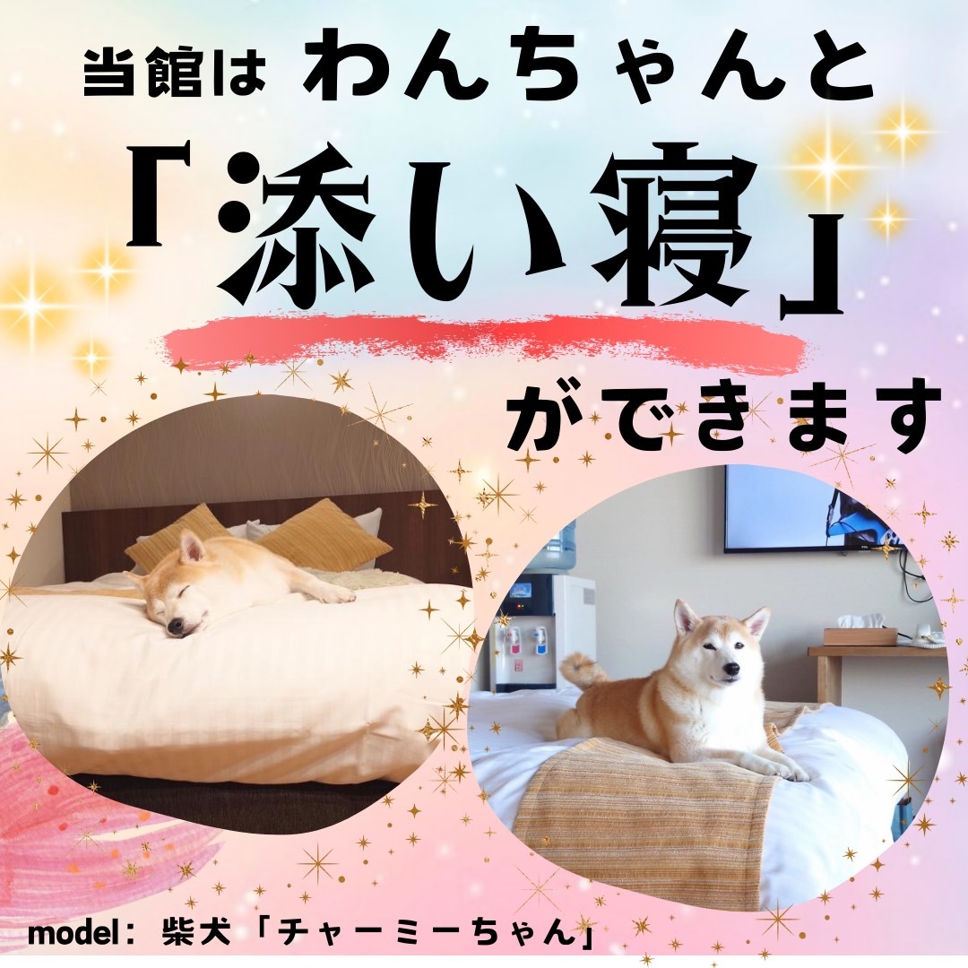 わんちゃんと泊まる温泉宿 皆生温泉 松涛園
