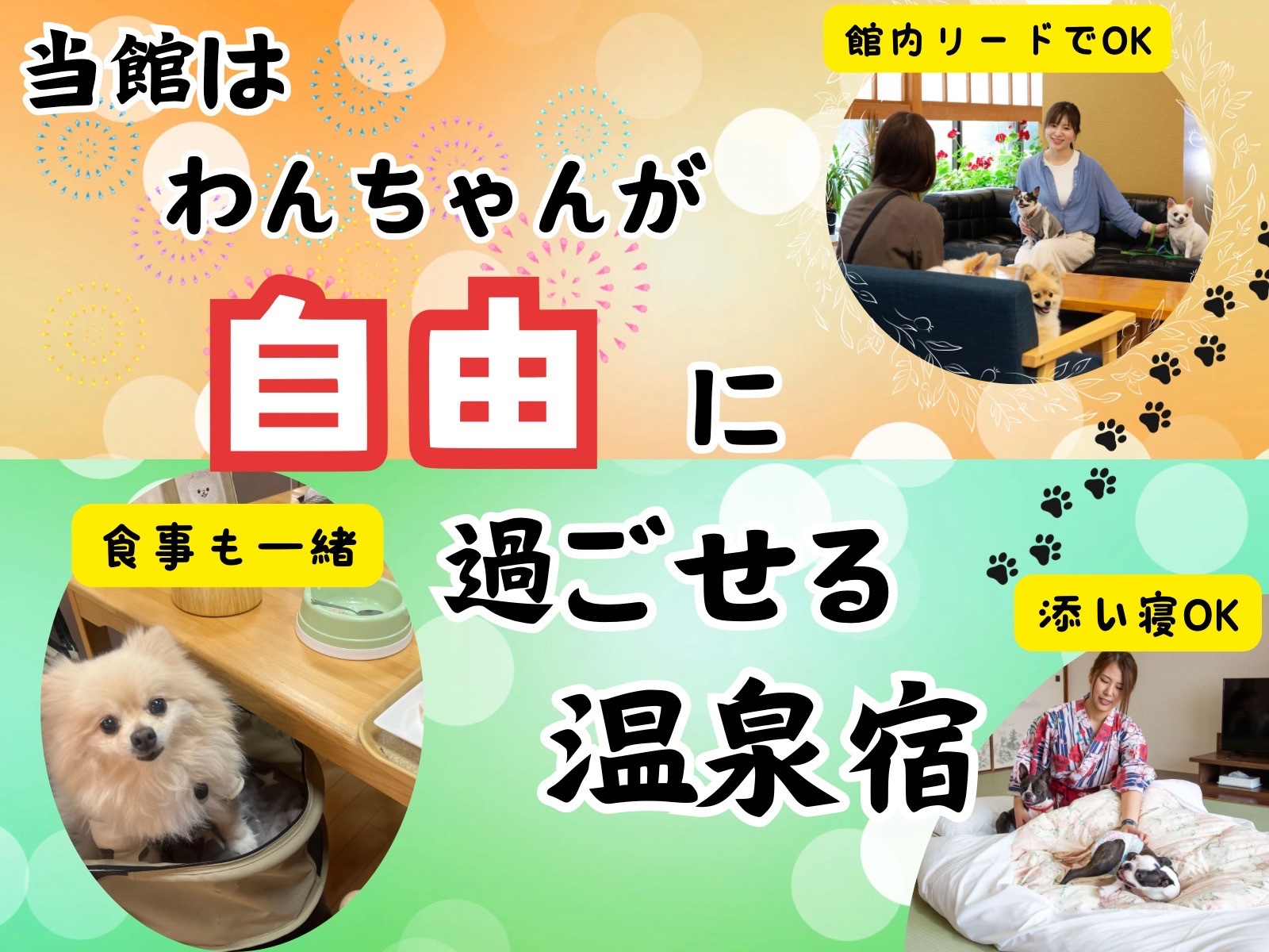 わんちゃんと泊まる温泉宿 皆生温泉 松涛園 わんちゃんと泊まる温泉宿【ボイルガニ姿1枚（約500g）付】スタンダードバイキングプラン☆彡