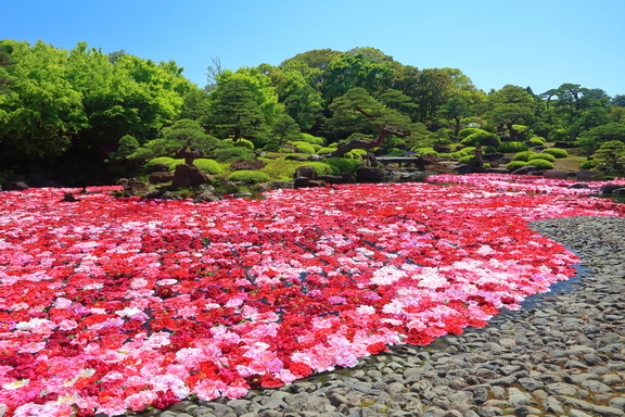 Tabist 松江館 【早割30】★素泊まり★ JR松江駅より徒歩4分！出雲神社への参拝に便利♪【家族風呂あり】（通年）