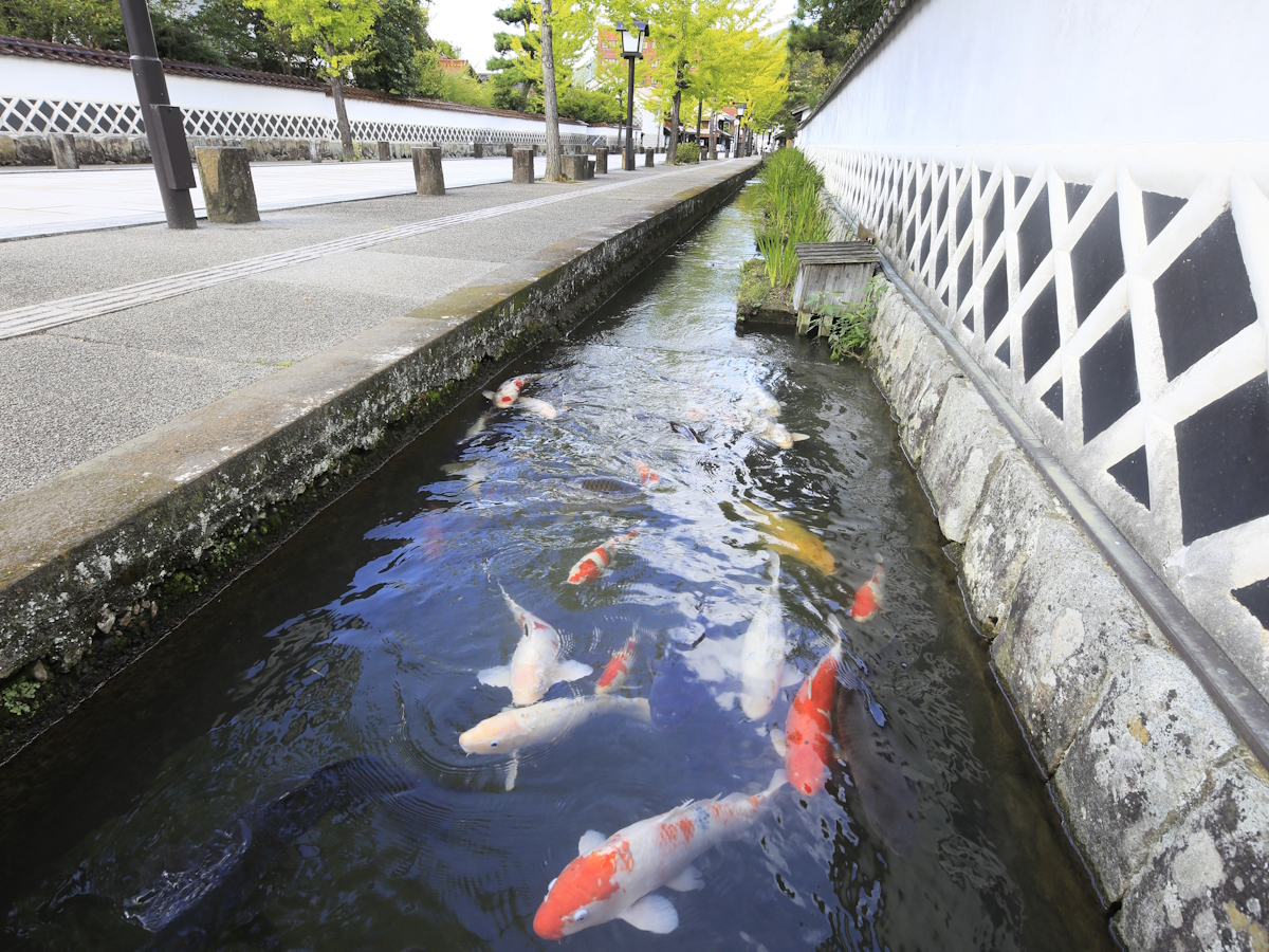 ゆとりろ津和野 【連泊エコプラン】選べる利き酒セット付！一人旅や長期滞在、リモートワークでのご利用にも！＜素泊まり＞（共通）