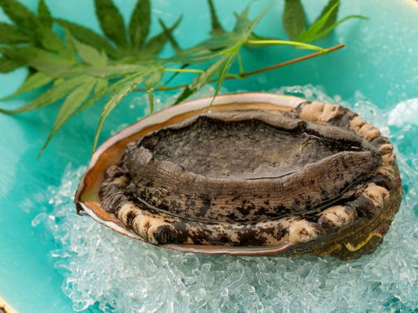 湯めぐりの宿　松の家　花泉 ◆贅沢三昧♪『お造り』＆『和牛ミニステーキ』＆『鮑』＜特選和会席～菊～＞【夕朝食付】