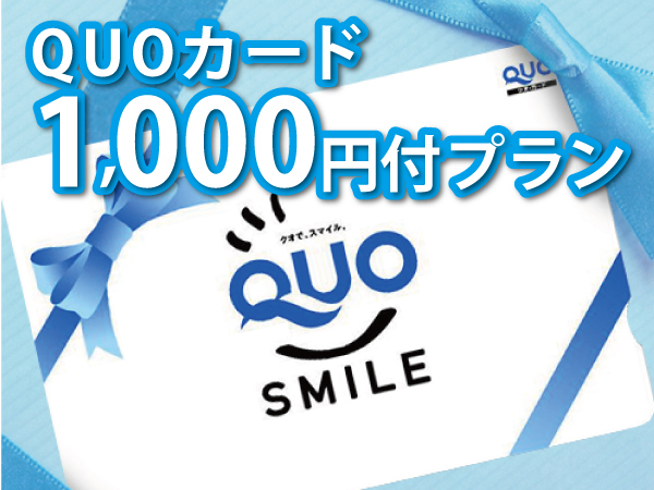 ベッセルホテル広島 平和大通り 【ビジネス・素泊まり】QUOカード1000円付 ☆