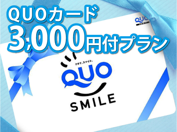 ベッセルホテル広島 平和大通り 【ビジネス・素泊まり】QUOカード3000円付 ☆