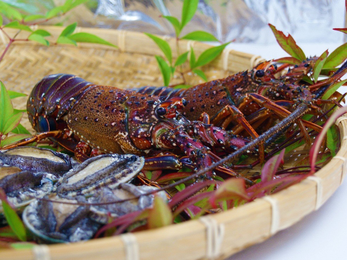 マリッサリゾート サザンセト周防大島 【夏休み×イセエビ×美食オールインクルーシブ】厳選高級食材を堪能　海辺のリゾートで極上の休日を